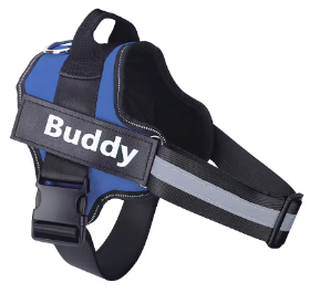 Personalised Dog Harness