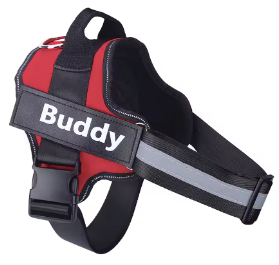 Personalised Dog Harness