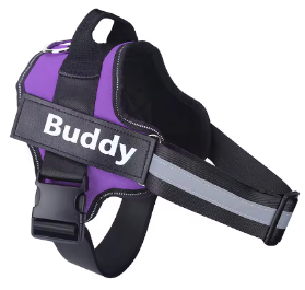 Personalised Dog Harness