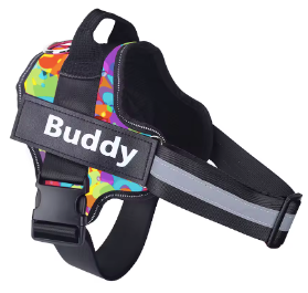 Personalised Dog Harness
