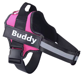 Personalised Dog Harness