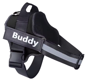 Personalised Dog Harness