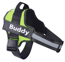 Personalised Dog Harness