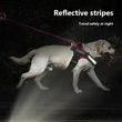 Personalised Dog Harness