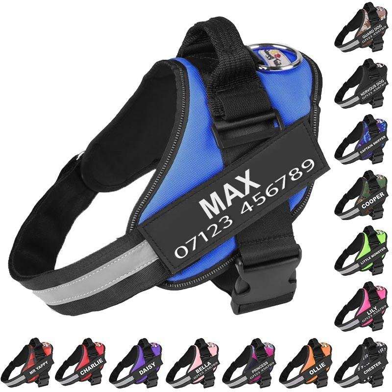 Personalised Dog Harness