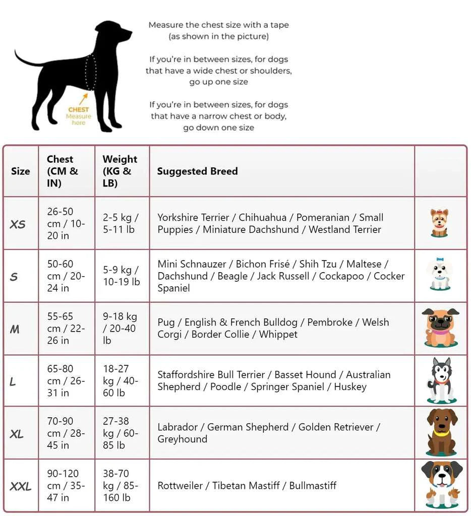 Personalised Dog Harness