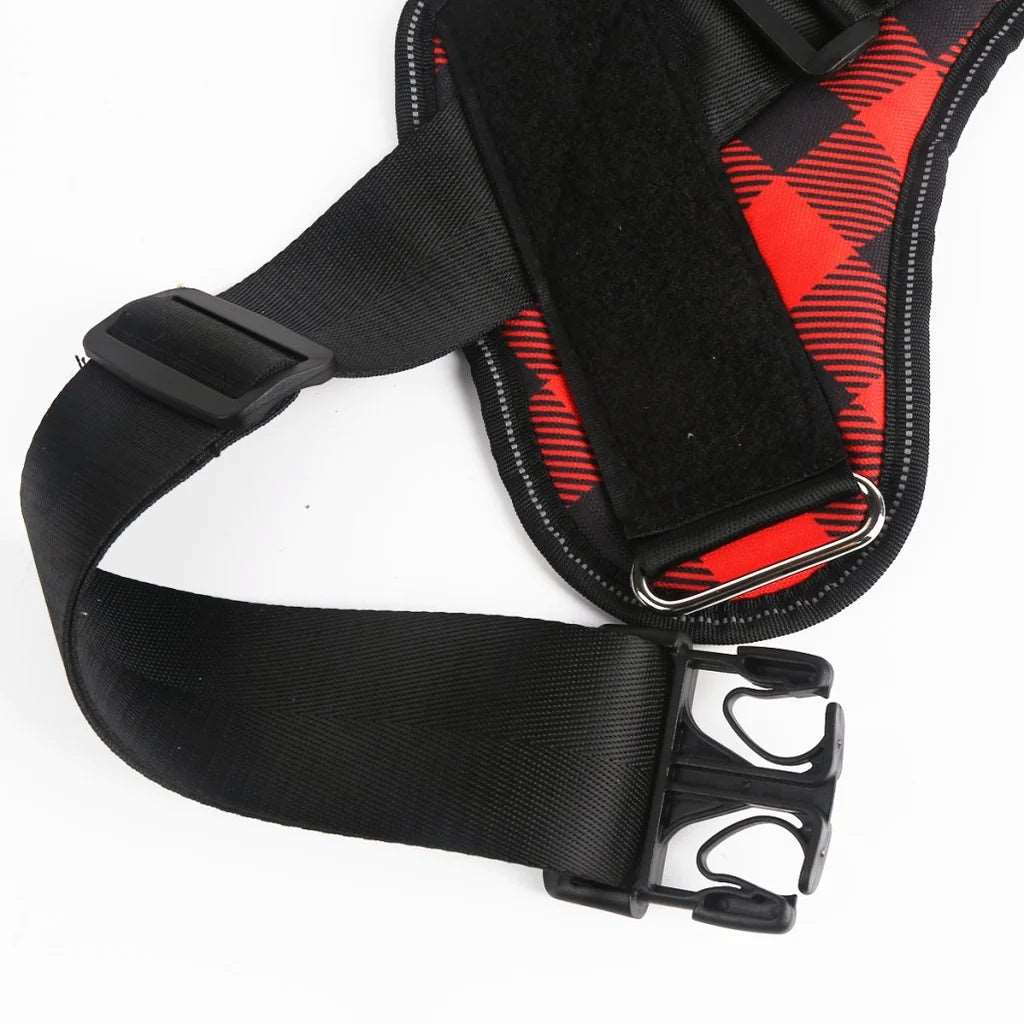 Personalised Dog Harness