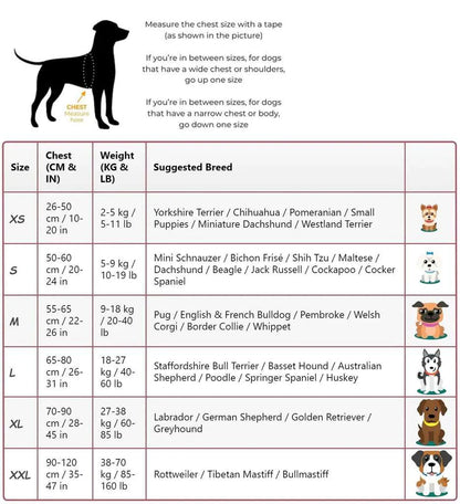 Personalised Dog Harness